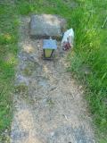 image of grave number 568463